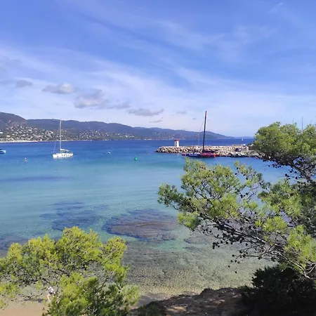 Apartment Avec Terrasse Proche Plages Le Lavandou