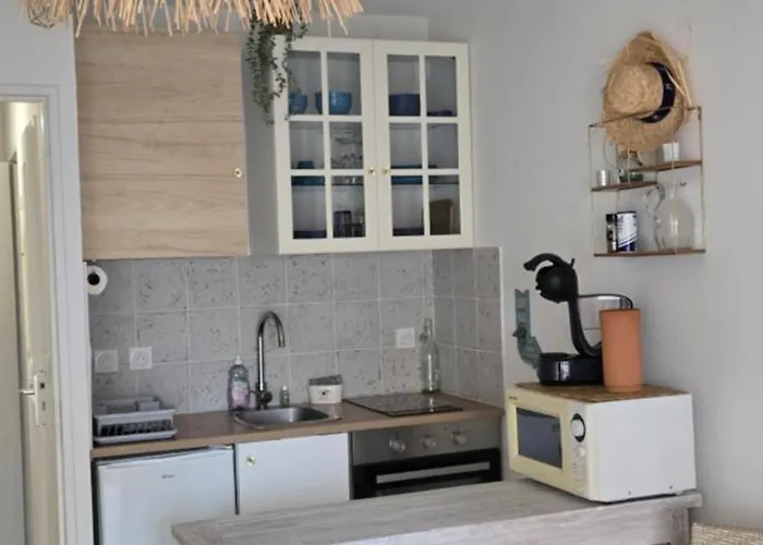 Avec Terrasse Proche Plages Le Lavandou