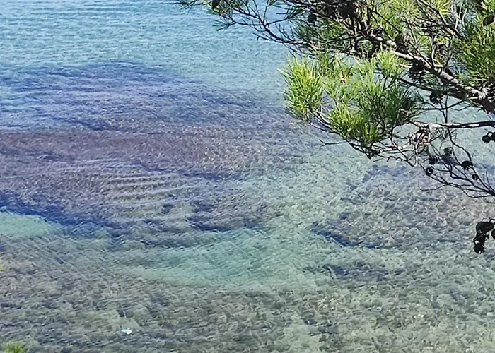 Avec Terrasse Proche Plages Le Lavandou