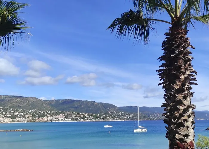 Avec Terrasse Proche Plages * Le Lavandou