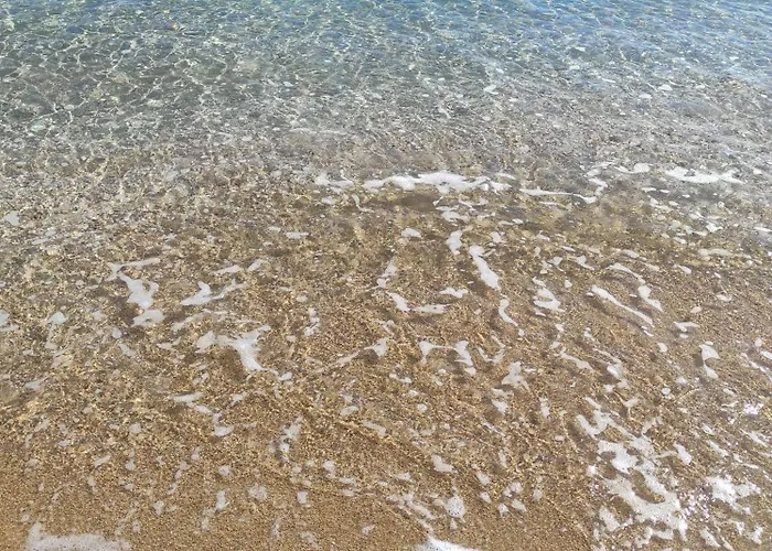 Avec Terrasse Proche Plages * Le Lavandou